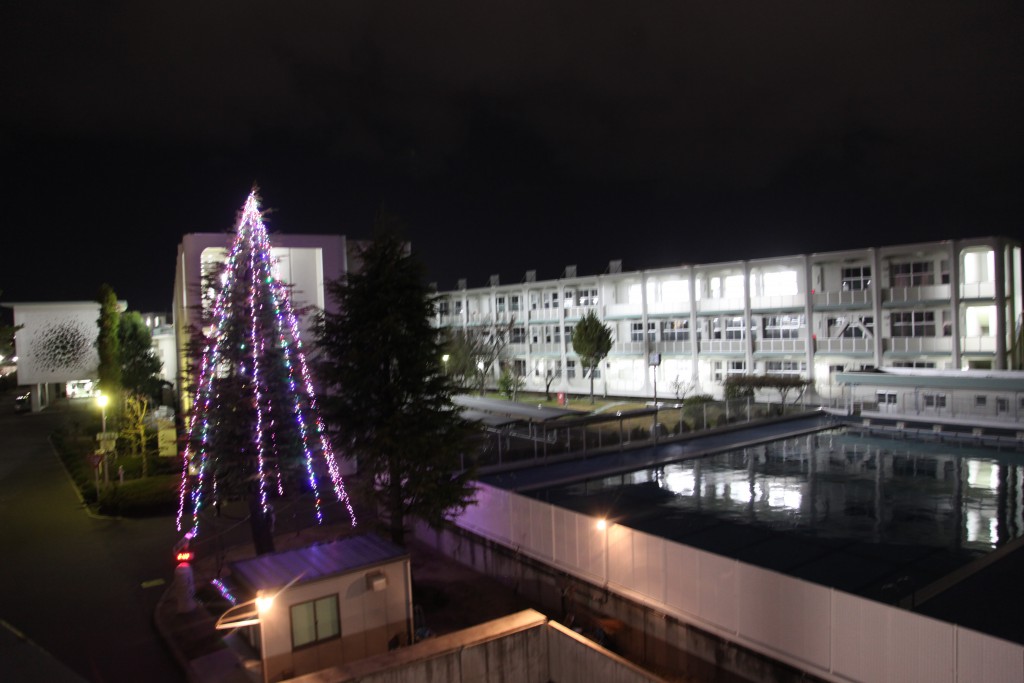 本校と大学を結ぶ「にじのはし」から見たツリー