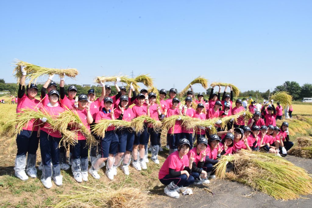 食物科生就労体験 米作り 稲刈り お知らせ 郡山女子大学附属高等学校